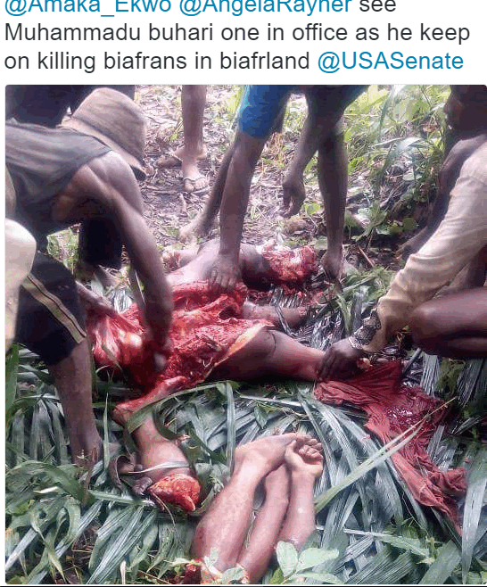 Torture Victims and Killings